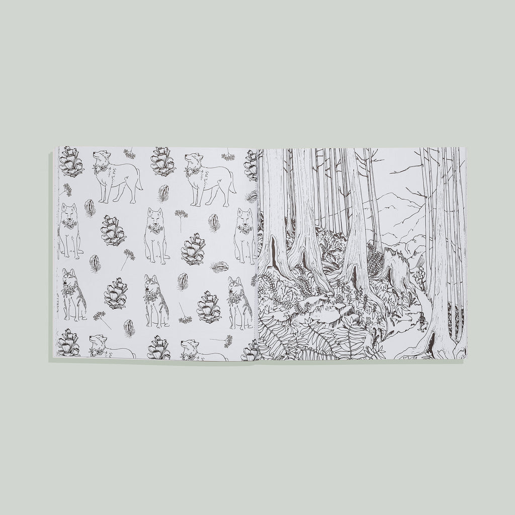 Plant Lady: A Coloring Book